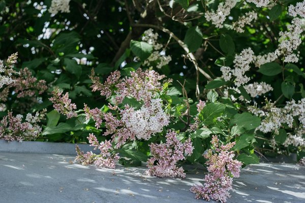 Top 10 affiches artistiques du sud-ouest pour votre déco